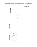 THERAPEUTIC USES OF TIM-3 MODULATORS diagram and image