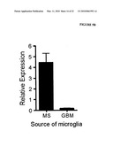 THERAPEUTIC USES OF TIM-3 MODULATORS diagram and image