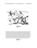 METHODS AND COMPOSITIONS FOR MODULATING HEPSIN ACTIVATION OF UROKINASE-TYPE PLASMINOGEN ACTIVATOR diagram and image