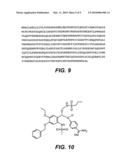 METHODS AND COMPOSITIONS FOR MODULATING HEPSIN ACTIVATION OF UROKINASE-TYPE PLASMINOGEN ACTIVATOR diagram and image