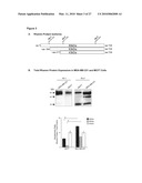 Rhamm, a Co-Receptor and Its Interactions with Other Receptors in Cancer Cell Motility and the Identification of Cancer Prognitor Cell Populations diagram and image