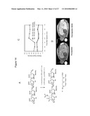 Rhamm, a Co-Receptor and Its Interactions with Other Receptors in Cancer Cell Motility and the Identification of Cancer Prognitor Cell Populations diagram and image