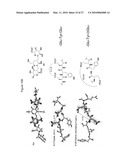 Rhamm, a Co-Receptor and Its Interactions with Other Receptors in Cancer Cell Motility and the Identification of Cancer Prognitor Cell Populations diagram and image