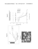 Rhamm, a Co-Receptor and Its Interactions with Other Receptors in Cancer Cell Motility and the Identification of Cancer Prognitor Cell Populations diagram and image
