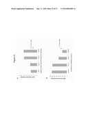 Rhamm, a Co-Receptor and Its Interactions with Other Receptors in Cancer Cell Motility and the Identification of Cancer Prognitor Cell Populations diagram and image