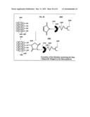 Method and composition for the treatment of cancer by the enzymatic conversion of soluble radioactive toxic precipitates in the cancer diagram and image