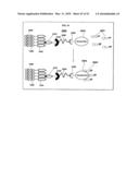 Method and composition for the treatment of cancer by the enzymatic conversion of soluble radioactive toxic precipitates in the cancer diagram and image