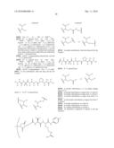 DRUG CONJUGATES AND THEIR USE FOR TREATING CANCER, AN AUTOIMMUNE DISEASE OR AN INFECTIOUS DISEASE diagram and image