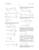 DRUG CONJUGATES AND THEIR USE FOR TREATING CANCER, AN AUTOIMMUNE DISEASE OR AN INFECTIOUS DISEASE diagram and image