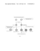 LIPOBEADS AND THEIR PRODUCTION diagram and image