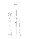 THIN FILM-LIKE POLYMER STRUCTURE AND METHOD FOR PREPARING THE SAME diagram and image