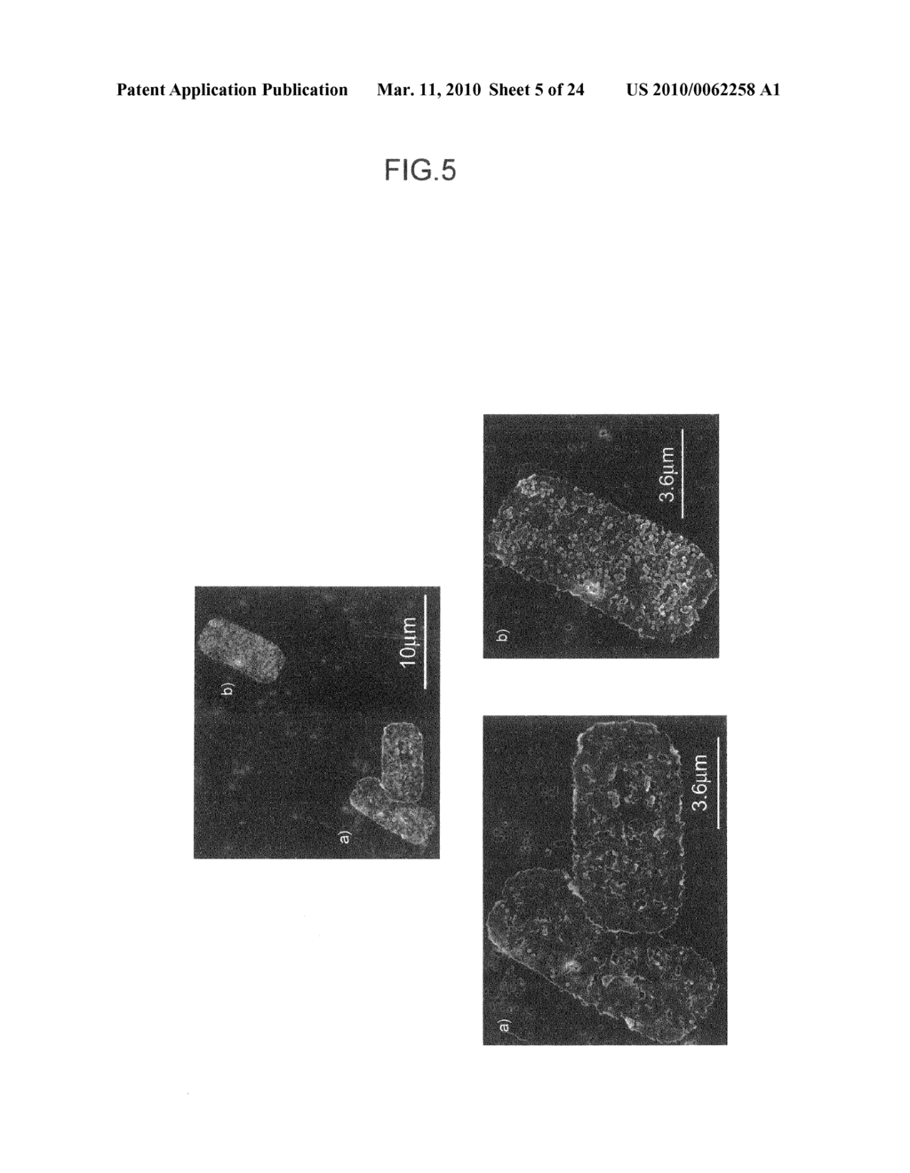 THIN FILM-LIKE POLYMER STRUCTURE AND METHOD FOR PREPARING THE SAME - diagram, schematic, and image 06