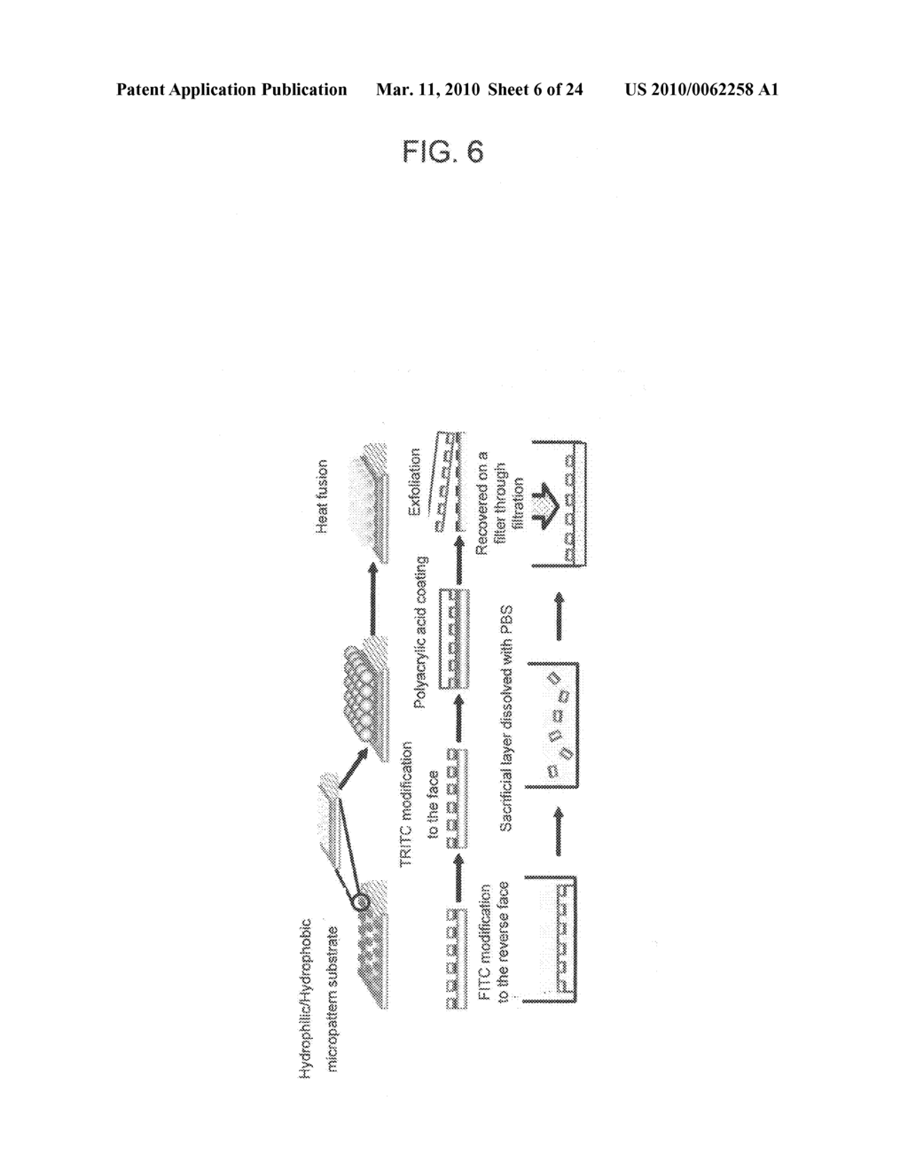 THIN FILM-LIKE POLYMER STRUCTURE AND METHOD FOR PREPARING THE SAME - diagram, schematic, and image 07