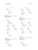 DOUBLE PATTERNING PROCESS diagram and image