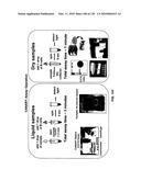 Pathogen Detection Biosensor diagram and image