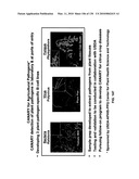 Pathogen Detection Biosensor diagram and image