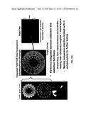 Pathogen Detection Biosensor diagram and image