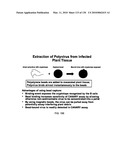 Pathogen Detection Biosensor diagram and image