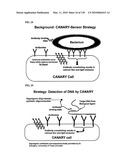 Pathogen Detection Biosensor diagram and image