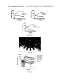 Pathogen Detection Biosensor diagram and image