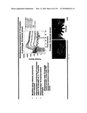 Pathogen Detection Biosensor diagram and image