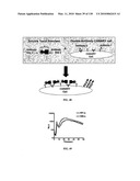 Pathogen Detection Biosensor diagram and image