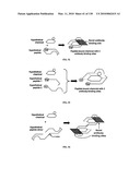 Pathogen Detection Biosensor diagram and image