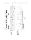 Pathogen Detection Biosensor diagram and image