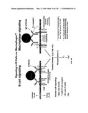 Pathogen Detection Biosensor diagram and image