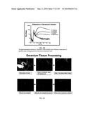 Pathogen Detection Biosensor diagram and image