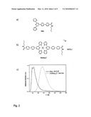 ZEOLITE CRYSTALS WITH BIOLOGICAL MATERIAL diagram and image