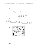 ZEOLITE CRYSTALS WITH BIOLOGICAL MATERIAL diagram and image