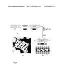 ZEOLITE CRYSTALS WITH BIOLOGICAL MATERIAL diagram and image