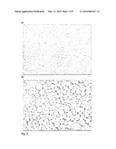 ZEOLITE CRYSTALS WITH BIOLOGICAL MATERIAL diagram and image