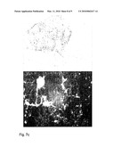 ZEOLITE CRYSTALS WITH BIOLOGICAL MATERIAL diagram and image