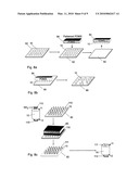 ZEOLITE CRYSTALS WITH BIOLOGICAL MATERIAL diagram and image