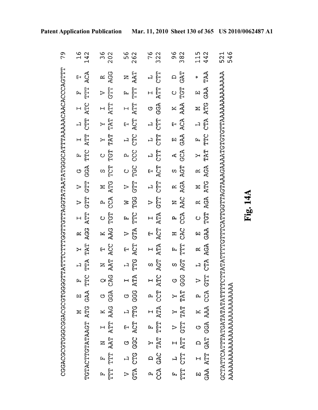 Novel genes encoding proteins having prognostic, diagnostic, preventive, therapeutic, and other uses - diagram, schematic, and image 131