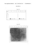 Method for Detecting Aggregate-Forming Circulating Protein Forms Using an Agent for Aggregating Said Forms and an Agent for Capturing Formed Aggregates diagram and image