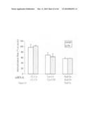 siRNA targeting TIE-2 diagram and image