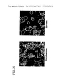 Novel strategies for delivery of active agents using micelles and particles diagram and image