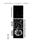 Novel strategies for delivery of active agents using micelles and particles diagram and image