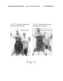 Composition extracted from shark cartilage marrow diagram and image