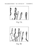 Composition extracted from shark cartilage marrow diagram and image