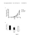 COMPOSITIONS AND METHODS FOR DELIVERY OF ANTI-CANCER AGENTS diagram and image