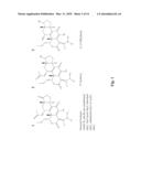 METABOLITES OF WORTMANNIN ANALOGS AND METHODS OF USING THE SAME diagram and image