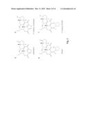 METABOLITES OF WORTMANNIN ANALOGS AND METHODS OF USING THE SAME diagram and image