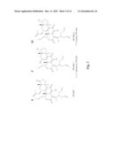 METABOLITES OF WORTMANNIN ANALOGS AND METHODS OF USING THE SAME diagram and image