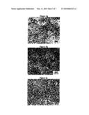 COPOLYMER GRAFTED WITH POLYAMIDE, MATERIAL COMPRISING IT, PREPARATION PROCESS AND USES diagram and image