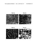 COPOLYMER GRAFTED WITH POLYAMIDE, MATERIAL COMPRISING IT, PREPARATION PROCESS AND USES diagram and image