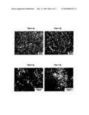 COPOLYMER GRAFTED WITH POLYAMIDE, MATERIAL COMPRISING IT, PREPARATION PROCESS AND USES diagram and image